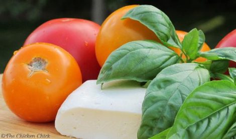 Mozzarella Cheese-Making Recipe & Illustrated Tutorial Image